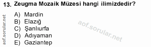 13. soru: Zeugma Mozaik Müzesi hangi ilimizdedir? A) Mardin B) Elazığ C) Şanlıurfa D) Adıyaman E) Gaziantep