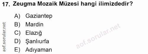 17. soru: Zeugma Mozaik Müzesi hangi ilimizdedir? A) Gaziantep B) Mardin C) Elazıg D) Şanlıurfa E) Adıyaman