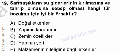 19. soru: Sarmaşıkların su giderlerinin kırılmasına ve tahrip olmasına sebep olması hangi tür bozulma için iyi bir örnektir? A)…