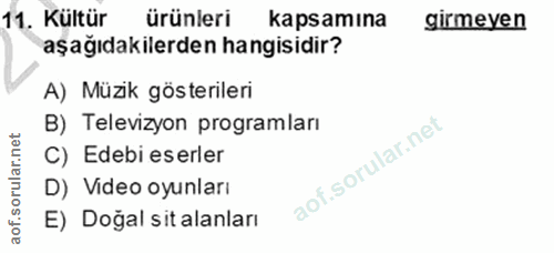 11. soru: Kültür ürünleri kapsamına girmeyen aşağıdakilerden hangisidir? A) Müzik gösterileri B) Televizyon programları rular.…