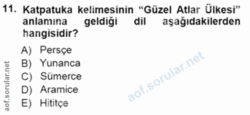 11. soru: Katpatuka kelimesinin "Güzel Atlar Ülkesi" anlamına geldiği dil aşağıdakilerden hangisidir? A) Persçe B) Yunanca C) S…
