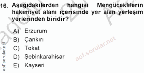 16. soru: Aşağıdakilerden hangisi Mengüceklilerin hakimiyet alanı içerisinde yer alan yerleşim yerlerinden biridir? A) Erzurum…