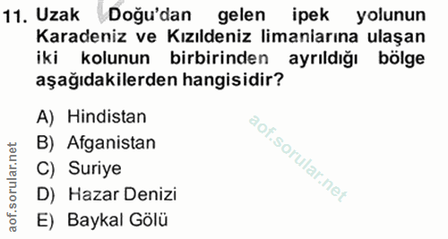 11. soru: Uzak Doğu'dan gelen ipek yolunun Karadeniz ve Kızıldeniz limaniarına ulaşan iki kolunun birbirinden ayrıldığı bölge a…