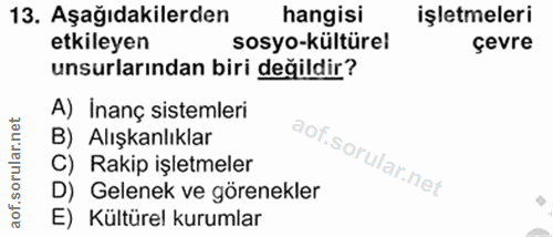 13. soru: Aşağıdakilerden hangisi işletmeleri etkileyen sosyo-kültürel çevre unsurlarından biri değildir? A) İnanç sistemleri B…