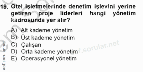 19. soru: Otel işletmelerinde denetim işlevini yerine getiren proje liderleri hangi yönetim kadrosunda yer alır? A) Alt kademe…