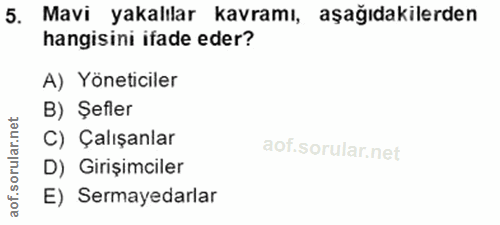 5. soru: Mavi yakalılar kavramı, aşağıdakilerden hangisini ifade eder? A) Yöneticiler B) Şefler C) Çalışanlar oru D) Girişimci…