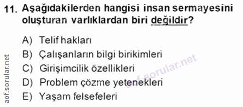11. soru: Aşağıdakilerden hangisi insan sermayesini oluşturan varlıklardan biri değildir? A) Telif hakları B) Çalışanların bilg…