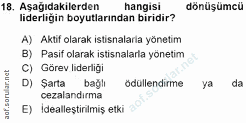 18. soru: Aşağıdakilerden hangisi dönüşümcü liderliğin boyutlarından biridir? A) Aktif olarak istisnalaria yönetim B) Pasif ola…