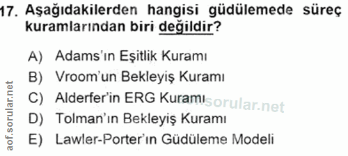 17. soru: Aşağıdakilerden hangisi güdülemede süreç kuramlarından biri değildir? A) Adams'in Eşitlik Kuramı B) Vroom'un Bekleyiş…