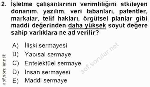2. soru: İşletme çalışanlarının verimliliğini etkileyen donanım, yazılım, veri tabanları, patentler, markalar, telif hakları,…