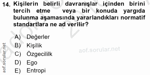 14. soru: Kişilerin belirli davranışlar içinden birini tercih etme veya bir konuda yargıda bulunma aşamasında yararlandıkları n…