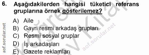 6. soru: Aşağıdakilerden hangisi tüketici referans gruplarına örnek gösterilemez? A) Aile B) Gayri resmi arkadaş grupları C) R…