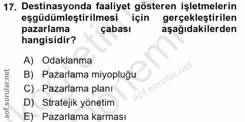 17. soru: Destinasyonda faaliyet gösteren işletmelerin eşgüdümleştirilmesi için gerçekleştirilen pazarlama çabası aşağıdakilerd…