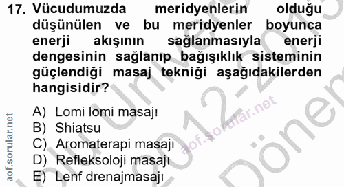 17. soru: Vücudumuzda meridyenlerin olduğu düşünülen ve bu meridyenler boyunca enerji akışının saglanmasıyla enerji dengesinin…