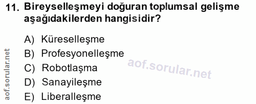 11. soru: Bireyselleşmeyi doğuran toplumsal gelişme aşağıdakilerden hangisidir? A) Küreselleşme B) Profesyonelleşme C) Robotlaş…