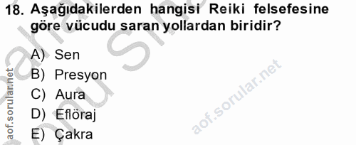 18. soru: Aşağıdakilerden hangisi Reiki felsefesine göre vücudu saran yollardan biridir? A) Sen B) Presyon f. aof.sorulannet C)…