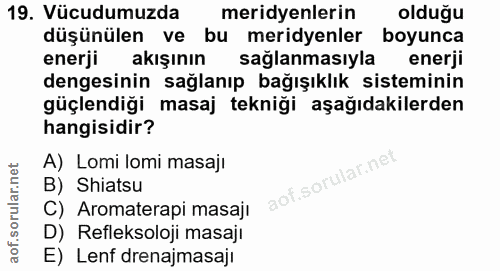 19. soru: Vücudumuzda meridyenlerin olduğu düşünülen ve bu meridyenler boyunca enerji akışının sağlanmasıyla enerji dengesinin…
