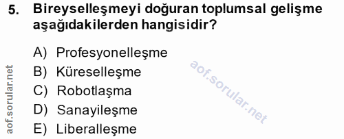 5. soru: Bireyselleşmeyi doğuran toplumsal gelişme aşağıdakilerden hangisidir? A) Profesyonelleşme rular.net B) Küreselleşme C…