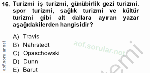 16. soru: Turizmi iş turizmi, günübirlik gezi turizmi, spor turizmi, sağlık turizmi ve kültür turizmi gibi alt dallara ayıran y…