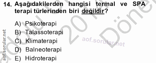 14. soru: Aşağıdakilerden hangisi termal ve SPA terapi türlerinden biri değildir? A) Psikoterapi B) Talassoterapi C) Klimaterap…