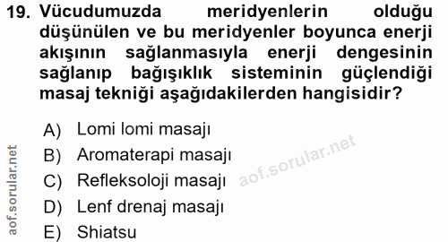 19. soru: Vücudumuzda meridyenlerin olduğu düşünülen ve bu meridyenler boyunca enerji akışının sağlanmasıyla enerji dengesinin…