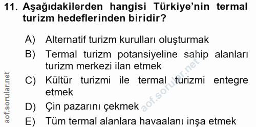 11. soru: Aşağıdakilerden hangisi Türkiye'nin termal turizm hedeflerinden biridir? A) Alternatif turizm kurulları oluşturmak B)…