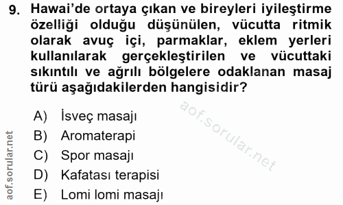 9. soru: Hawai'de ortaya çıkan ve bireyleri iyileştirme özelliği olduğu düşünülen, vücutta ritmik olarak avuç içi, parmaklar,…