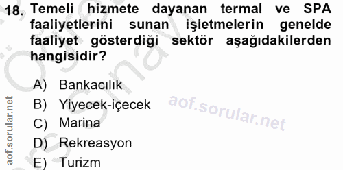 18. soru: Temeli hizmete dayanan termal ve SPA faaliyetlerini sunan işletmelerin genelde faaliyet gösterdiği sektör aşağıdakile…