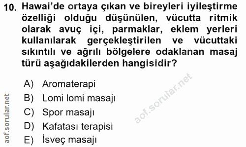 10. soru: Hawai'de ortaya çıkan ve bireyleri iyileştirme özelliği olduğu düşünülen, vücutta ritmik olarak avuç içi, parmaklar,…