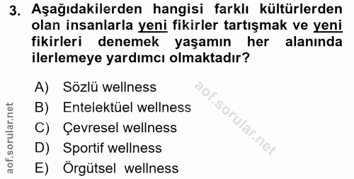 3. soru: Aşağıdakilerden hangisi farklı kültürlerden olan insanlarla yeni fikirler tartışmak ve yeni fikirleri denemek yaşamın…