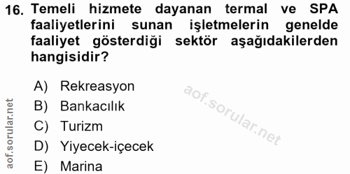16. soru: Temeli hizmete dayanan termal ve SPA faaliyetlerini sunan işletmelerin genelde faaliyet gösterdiği sektör aşağıdakile…