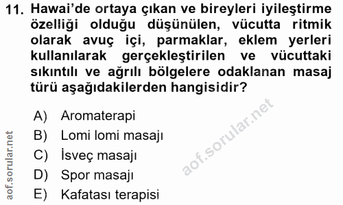 11. soru: Hawai'de ortaya çıkan ve bireyleri iyileştirme özelliği olduğu düşünülen, vücutta ritmik olarak avuç içi, parmaklar,…