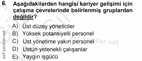 6. soru: Aşağıdakilerden hangisi kariyer gelişimi için çalışma çevrelerinde belirlenmiş gruplardan değildir? A) Üst düzey yöne…