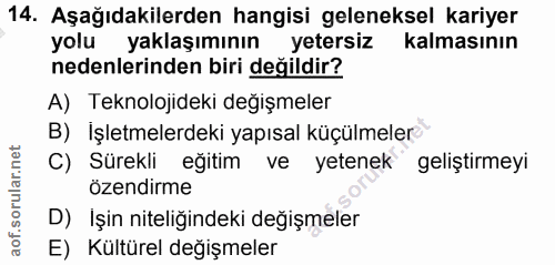 14. soru: Aşağıdakilerden hangisi geleneksel kariyer yolu yaklaşımının yetersiz kalmasının nedenlerinden biri değildir? A) Tekn…