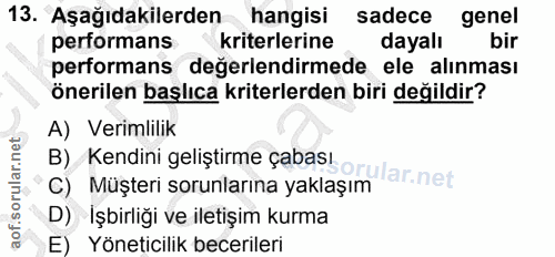 13. soru: Aşağıdakilerden hangisi sadece genel performans kriterlerine dayalı bir performans değerlendirmede ele alınması öneri…