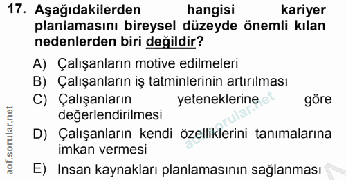 17. soru: Aşağıdakilerden hangisi kariyer planlamasını bireysel düzeyde önemli kılan nedenlerden biri değildir? A) Çalışanların…