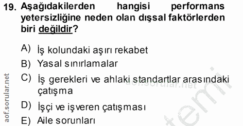 19. soru: Aşağıdakilerden hangisi performans yetersizliğine neden olan dışsal faktörlerden biri değildir? A) İş kolundaki aşırı…