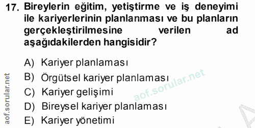 17. soru: Bireylerin eğitim, yetiştirme ve iş deneyimi ile kariyerlerinin planlanması ve bu planların gerçekleştirilmesine veri…