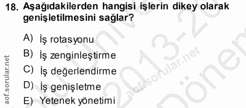 18. soru: Aşağıdakilerden hangisi işlerin dikey olarak genişletilmesini sağlar? A) İş rotasyonu B) İş zenginleştirme lar.net C)…