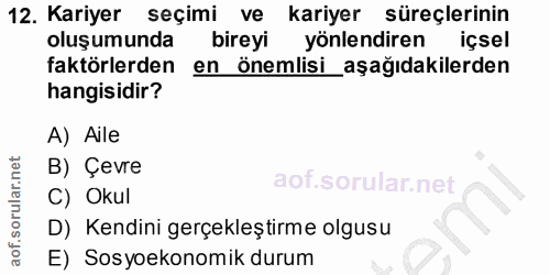 12. soru: Kariyer seçimi ve kariyer süreçlerinin oluşumunda bireyi yönlendiren içsel faktörlerden en önemlisi_aşağıdakilerden h…