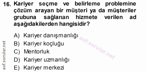16. soru: Kariyer seçme ve belirleme problemine çözüm arayan bir müşteri ya da müşteriler grubuna saglanan hizmete verilen ad a…