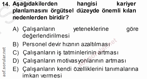 14. soru: Aşağıdakilerden hangisi kariyer planlamasını örgütsel düzeyde önemli kılan nedenlerden biridir? A) Çalışanların yeten…