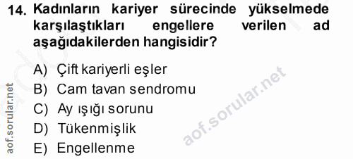 14. soru: Kadınların kariyer sürecinde yükselmede karşılaştıkları engellere verilen ad aşağıdakilerden hangisidir? A) Çift kari…