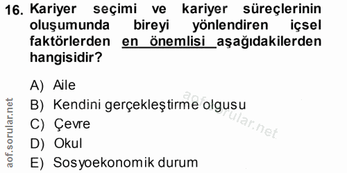 16. soru: Kariyer seçimi ve kariyer süreçlerinin oluşumunda bireyi yönlendiren içsel faktörlerden en önemlisi_aşağıdakilerden h…