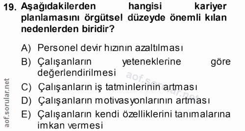 19. soru: Aşağıdakilerden hangisi kariyer planlamasını örgütsel düzeyde önemli kılan nedenlerden biridir? A) Personel devir hız…