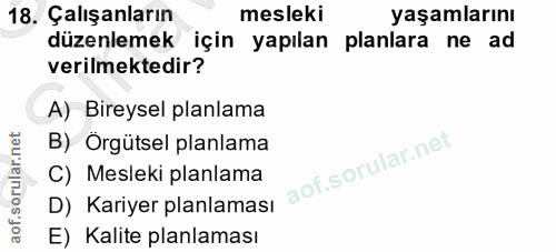 18. soru: Çalışanların mesleki yaşamlarını düzenlemek için yapılan planlara ne ad verilmektedir? A) Bireysel planlama B) Orgüts…