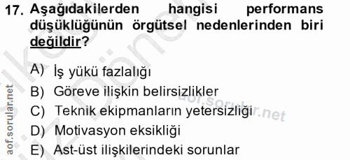 17. soru: Aşağıdakilerden hangisi performans düşüklüğünün örgütsel nedenlerinden biri değildir? A) İş yükü fazlalığı B) Göreve…