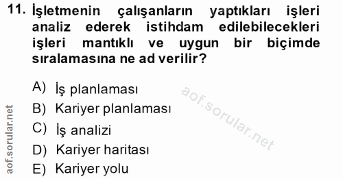 11. soru: Işletmenin çalışanların yaptıkları işleri analiz ederek istihdam edilebilecekleri işleri l mantıklı ve uygun bir biçi…