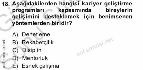 18. soru: Aşağıdakilerden hangisi kariyer geliştirme programları kapsamında bireylerin gelişimini desteklemek için benimsenen y…