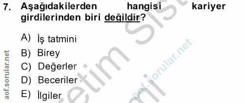 7. soru: Aşağıdakilerden hangisi kariyer girdilerinden biri değildir? A) Iş tatmini B) Birey orular.net C) Değerler D) Beceril…